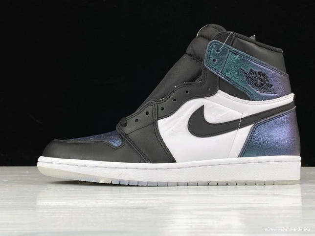 Husky Jordan Retro 1 Star "Chameleon" All 907958-015 Air 2017 0820